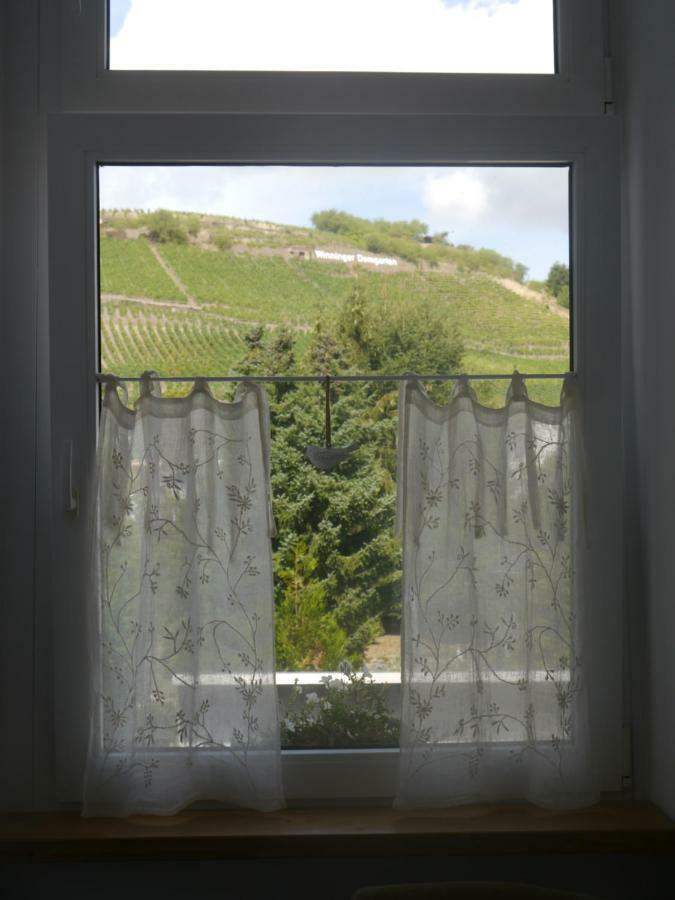 빈닌겐 Altes Weingut Weinhaus Rebstock 아파트 외부 사진